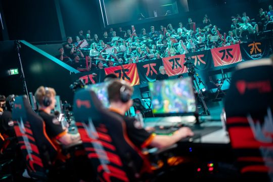 眼的明星 眼的明星