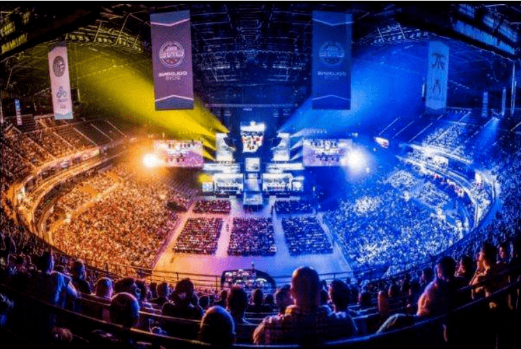 与张之臻不 与张之臻不